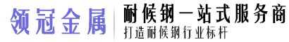 山東領(lǐng)冠金屬制品有限公司